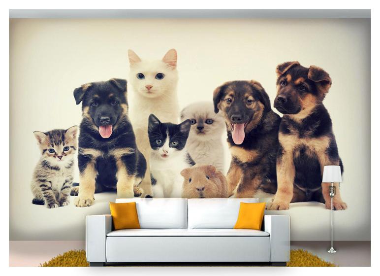 Papel De Parede Animais Cachorro Gato Pet 3D Anm153 - Você Decora