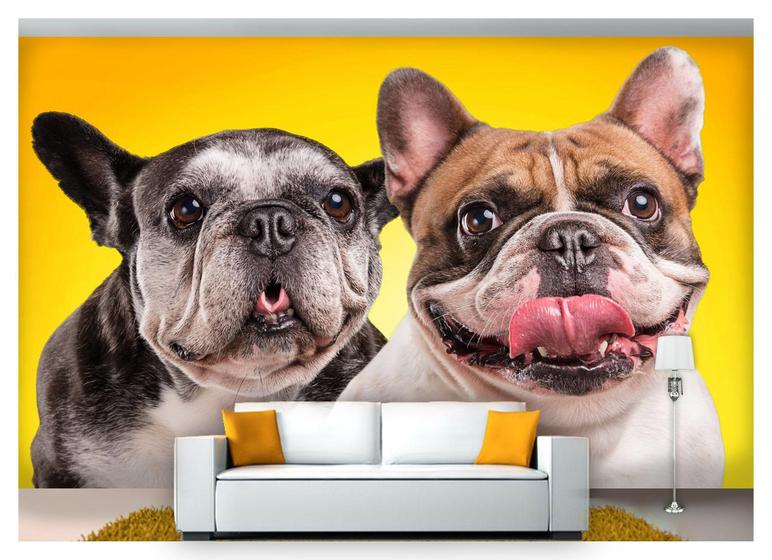 Imagem de Papel De Parede Animais Casal Cachorros 3D Anm152