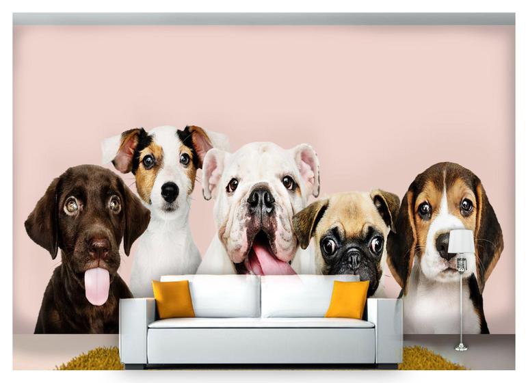 Papel De Parede Animais Filhotes Cães Pets 3D Anm261 - Você Decora