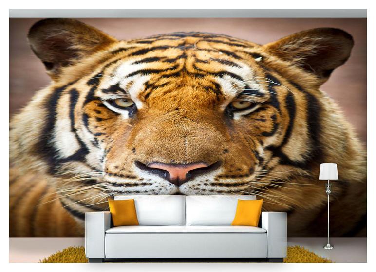 Papel De Parede Animais Tigre Floresta 3D Anm121 - Você Decora - Papel ...