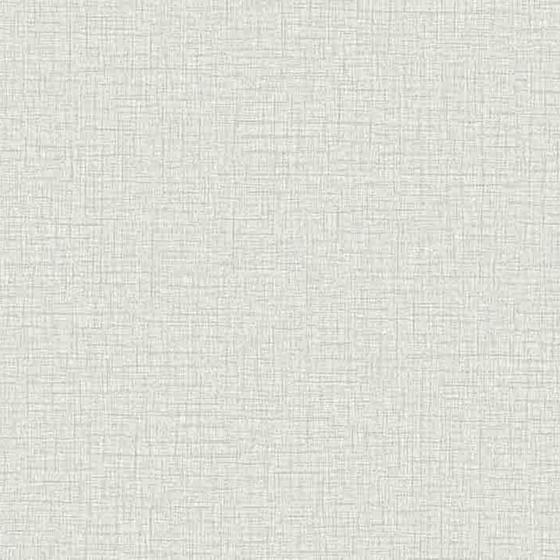 Imagem de Papel de Parede Colorkey - Col1024 Textura Off White/Prata - Rolo Fechado de 53cm x 10Mts