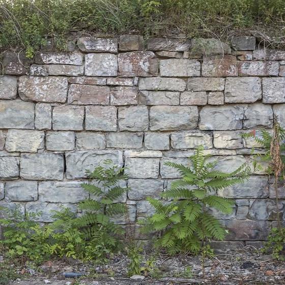 Imagem de Papel de Parede Muro de Pedras Decorativas Com Flores