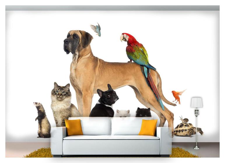 Papel De Parede Pets Cão Gato Papagaio 3D Anm111 - Você Decora - Papel