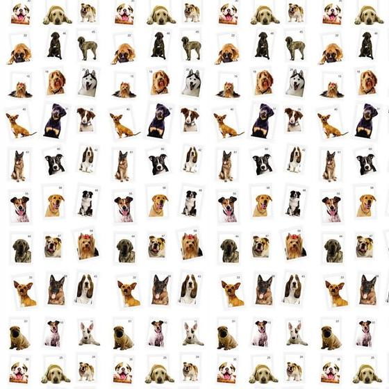 Imagem de Papel De Parede Porta Retrato Cachorros Adesivo Decorativo