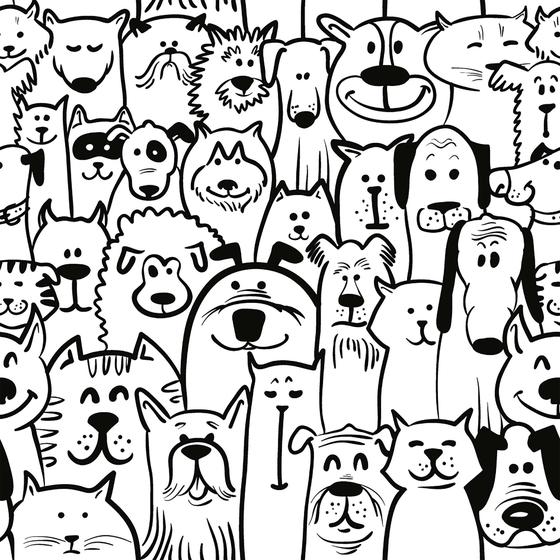 Imagem de Papel De Parede Vinílico Cachorro Pet Shop 1.5m