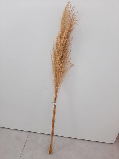 Imagem de Par de Hastes  Capim Arroz Branco 79 cm