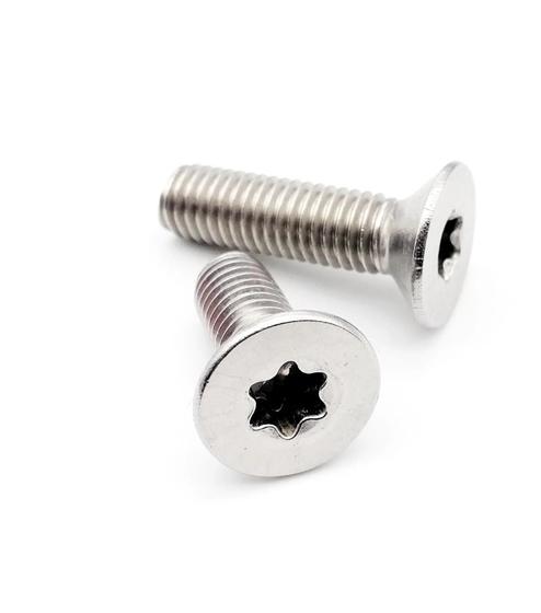 Imagem de Parafuso 20pçs m2 aço 304 inox cabeça chata torx para slot autorama, robótica