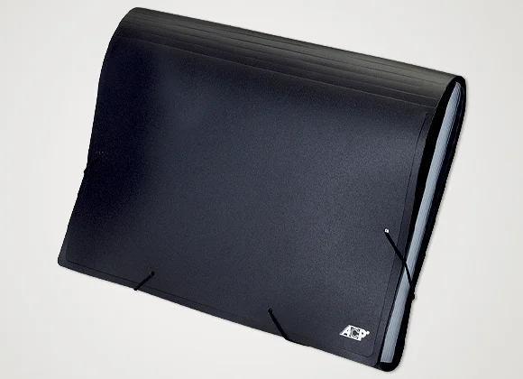 Imagem de Pasta sanfonada Acp A4 4027 com 12 divisórias preto