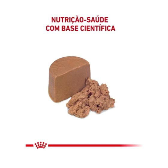 Imagem de Patê Recovery Royal Canin para Cães e Gatos 195g