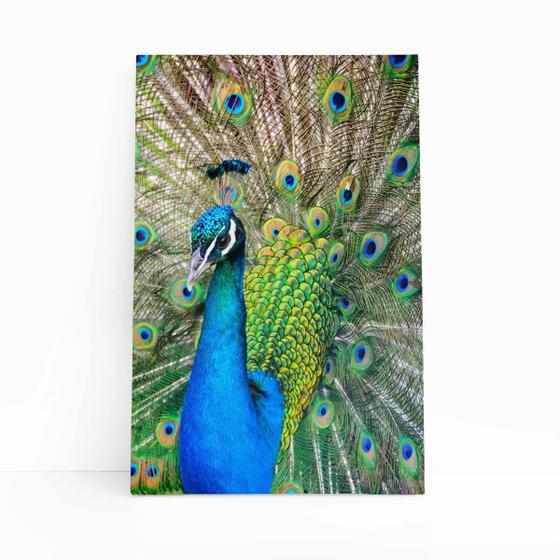 Imagem de Pavão Ave Animais Natureza Decorativo Quadro Canvas 60X40Cm