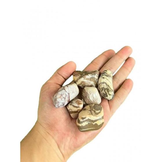 Imagem de Pedra Rolada Jaspe Zebra 2 A 3 Cm Pacote 200G