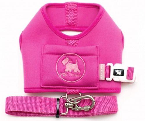 Peitoral Coleira Guia Pet Cachorro Colete Neoprene 3 Até 8kg Menor preço em Peitoral Coleira Guia Pet Cachorro Colete Neoprene 3 Até 8kg