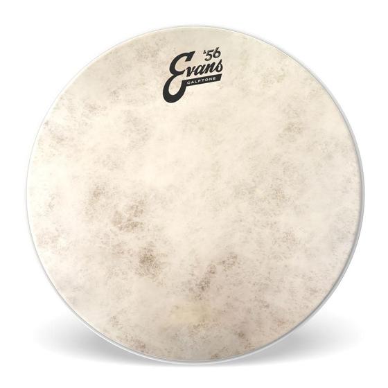 Imagem de Pele Para Tom E Caixa Calftone 12'' Evans TT12C7