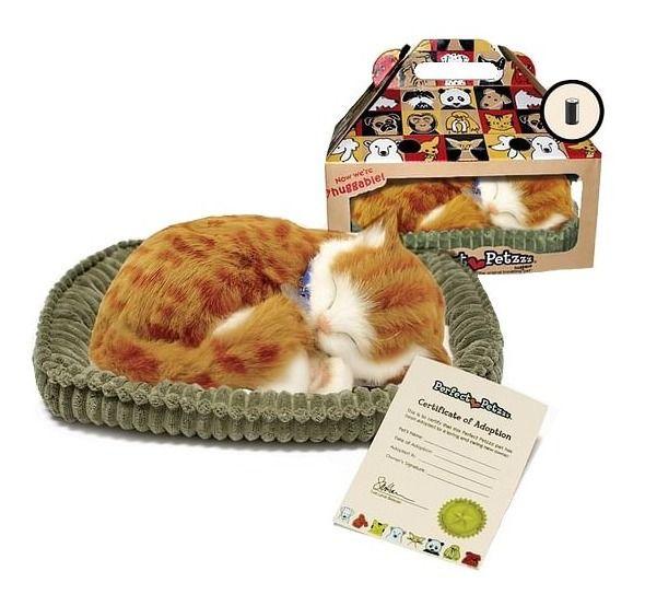 Perfect petzzz orange tabby online