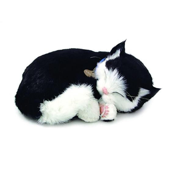 Imagem de Perfect Petzzz Filhote Gato Black E White Shorthair  Imex