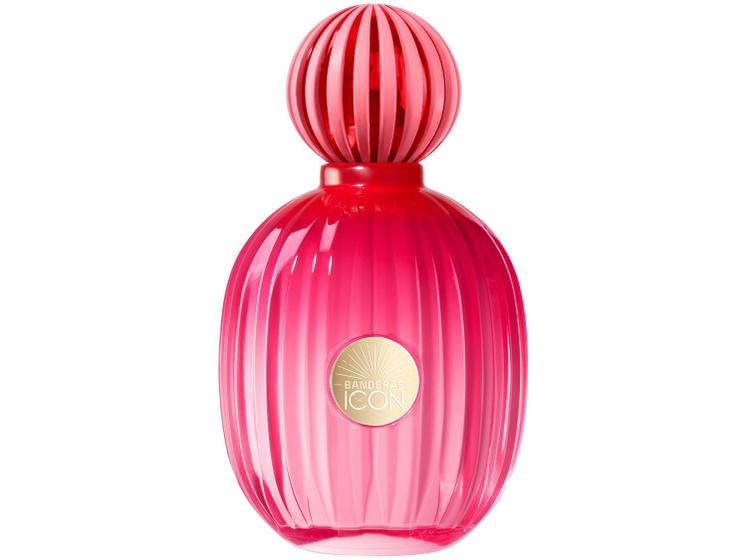 Imagem de Perfume Banderas The Icon Feminino Eau de Parfum 100ml