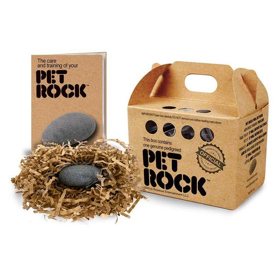 Imagem de Pet Rock O Original de Gary Dahl