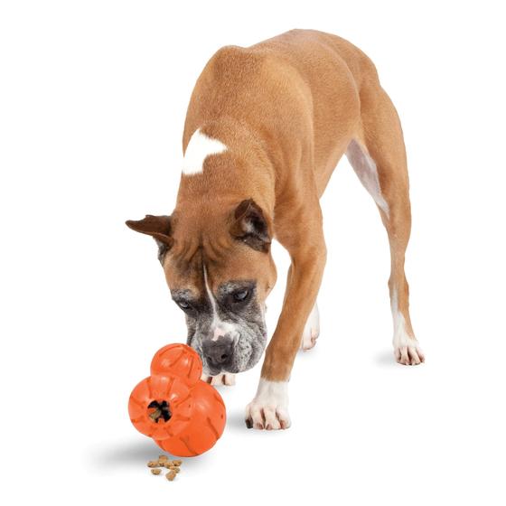 Imagem de PetSafe Busy Buddy Barnacle - Dog Chew Toy - Treat Dispensing Dog