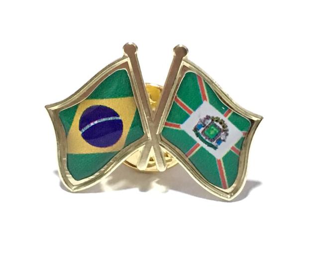 Imagem de Pin Da Bandeira Do Brasil X Goiânia