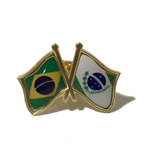 Imagem de Pin Da Bandeira Do Brasil X Paraná