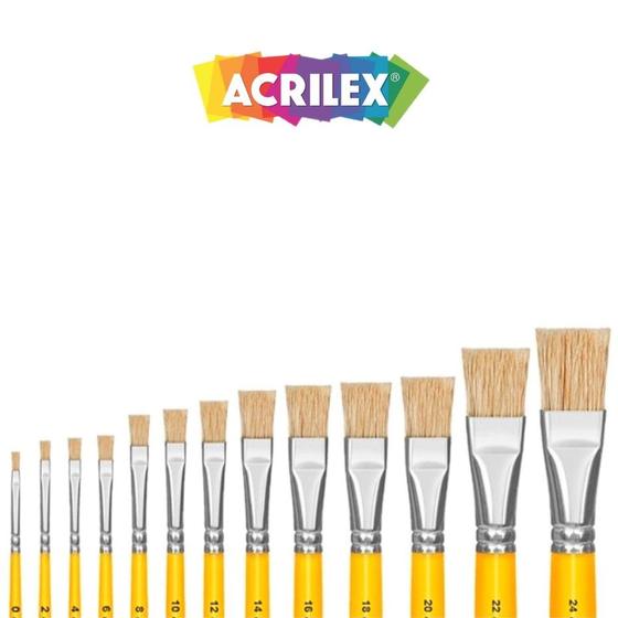 Imagem de Pincel Acrilex 054 - número 22