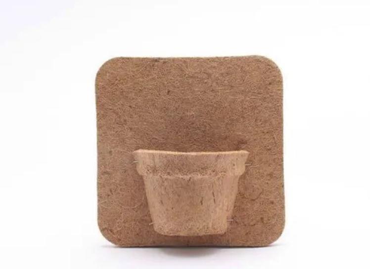 Imagem de Placa De Fibra De Coco Com Vaso Coquim Mod. 5000
