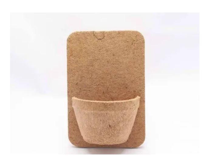 Imagem de Placa De Fibra De Coco Com Vaso Coquim Mod. 5001