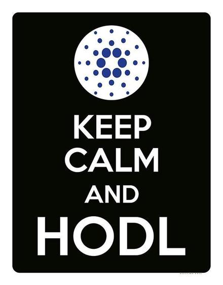 Imagem de Placa Decoraçao - Keep Calm Hodl Hold Cardano Ada 27X35