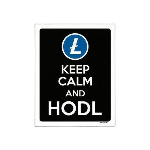 Imagem de Placa Decoraçao - Keep Calm Hodl Hold Litecoin Ltc 27X35Cm