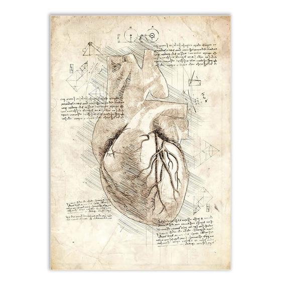 Imagem de Placa Decorativa A4 Coração Anatomia Projeto Retro Da Vinci