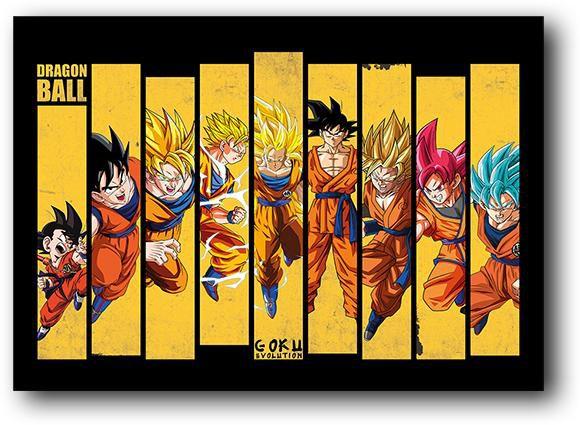 Placa Decorativa - Dragon Ball Z: Evolução Goku - Pequena - Loja Café com  Zumbi - Placa Decorativa - Magazine Luiza