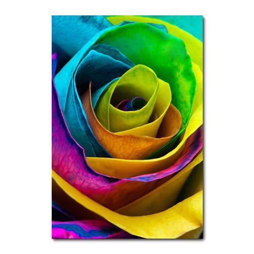 Imagem de Placa Decorativa - Flor - Rosa - 2336plmk