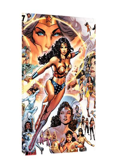 Imagem de Placa decorativa - mulher maravilha wonder woman dc comics