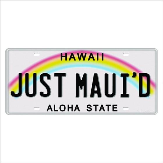 Imagem de Placa Decorativa Vintage de Carro - Hawaii Aloha State