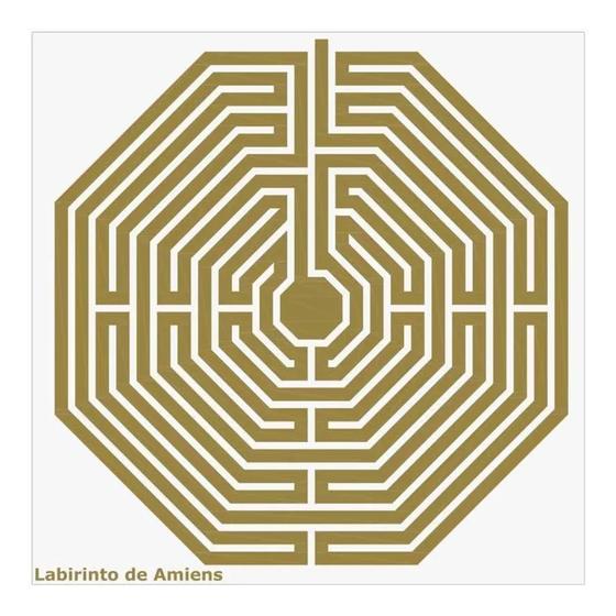 Imagem de Placa radiônica labirinto de amiens - radiestesia