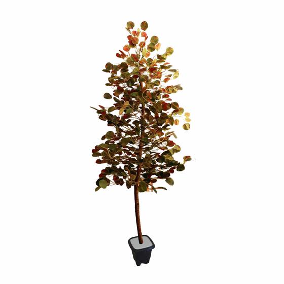 Imagem de Planta Artificial Árvore SCHEFFLERA BORDÔ com 1,60 metros de altura