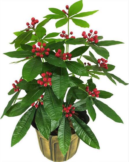 Imagem de Planta Artificial de Sala Ardísia Com Flores 60cm Premium