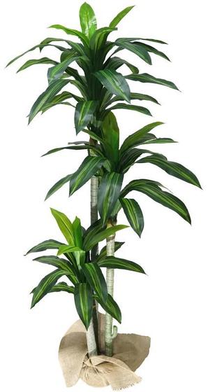 Imagem de Planta Artificial de Sala Dracena Com 3 Hastes Arvore Real