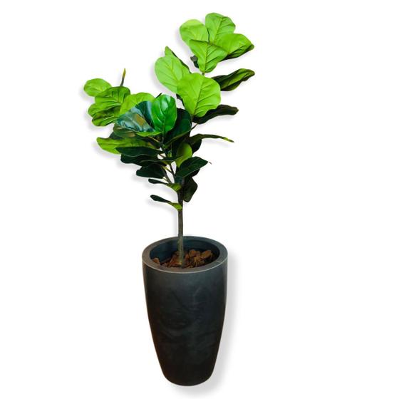 Imagem de Planta Artificial Grande Fícus Lyrata Outono Vaso Decorativo