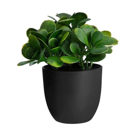 Imagem de Planta Artificial Home Style Bergmid