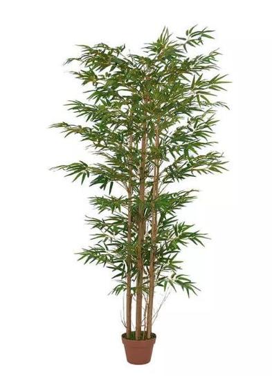 Imagem de Planta Árvore Artificial Bambu Oriental Verde 1,8m