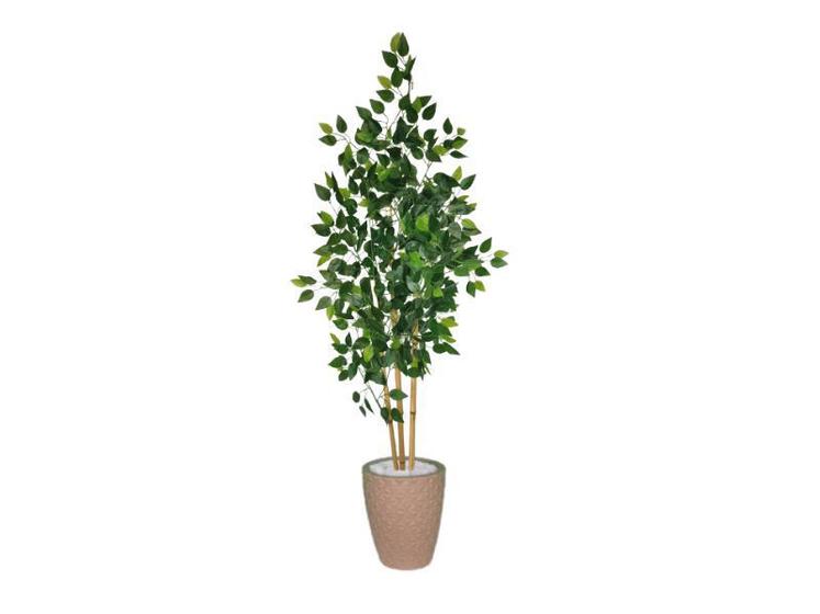 Imagem de Planta Árvore Artificial Bambu Real Toque 1,6m Kit + Vaso E. Bege 32cm