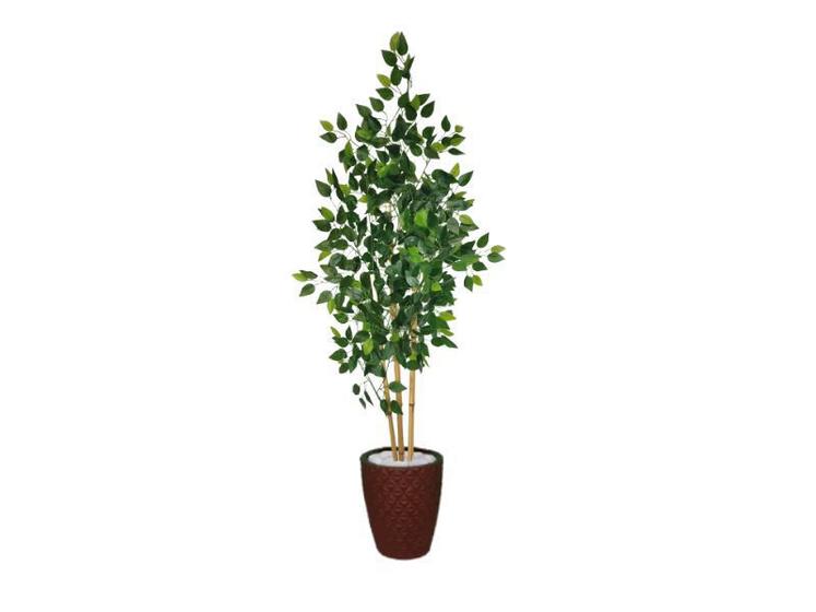 Imagem de Planta Árvore Artificial Bambu Real Toque 1,6m Kit + Vaso E. Marrom 32cm