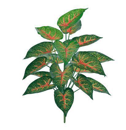 Imagem de Planta Árvore Artificial Caladium Real Toque Verde 60cm