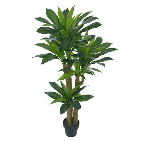 Imagem de Planta Árvore Artificial Dracena Pau D'água Verde de 1,5m