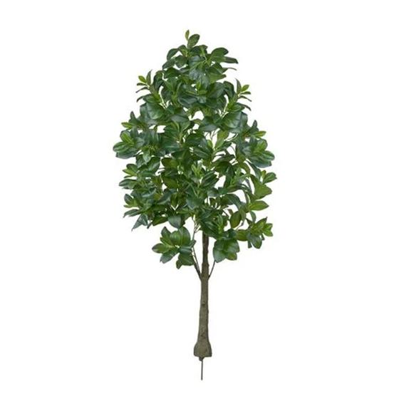 Imagem de Planta Árvore Artificial Permanente Clúsia Verde Real Toque 1,50m Flor Arte