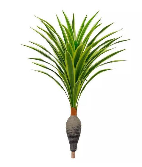 Imagem de Planta Árvore Dracena Garrafa Real Toque Verde Creme 1,2m