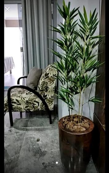 Imagem de Planta bambu artificial 5 hastes 1 mt/sem o vaso