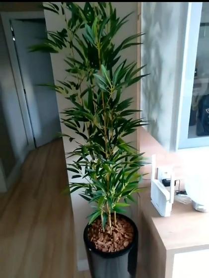 Imagem de Planta bambu artificial 8 hastes 1 mt/sem o vaso