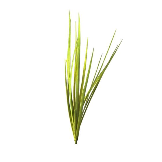 Imagem de Planta Folhagem Grass Verde 50cm